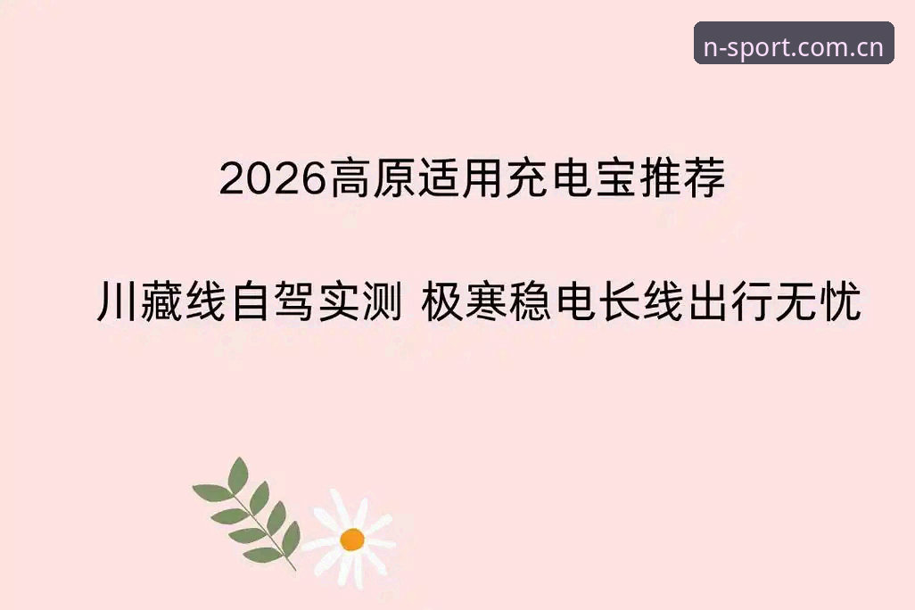 N体育畅快无忧2026最新版本 N体育畅快无忧2026最新版本深度评测:从官网入口到直播体验的全方位剖析